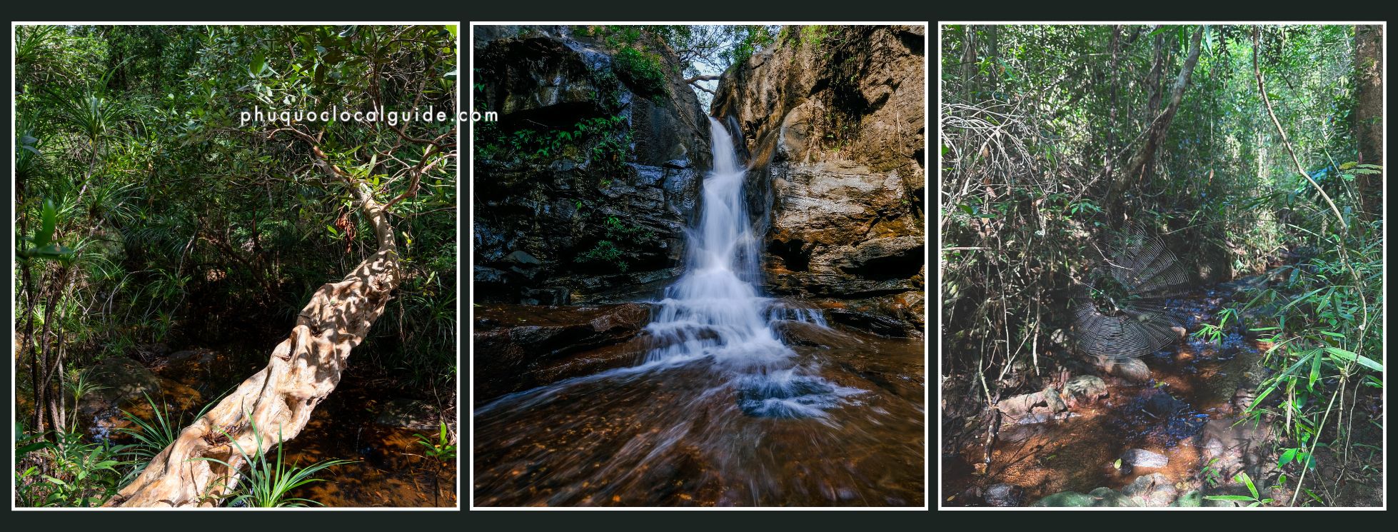 Hidden Phu Quoc Nature Walk