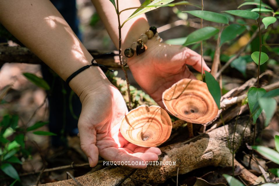 The Quiet Side of Phu Quoc