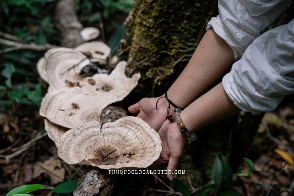 Explore the Wild Side of Phu Quoc