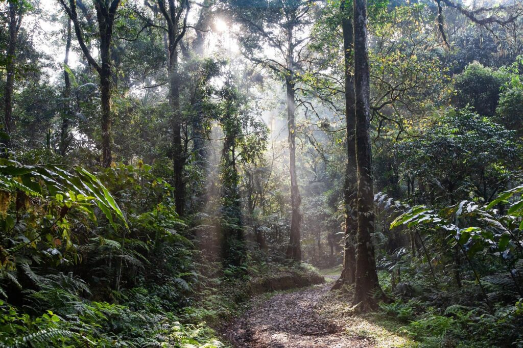 Hidden Nature Experience