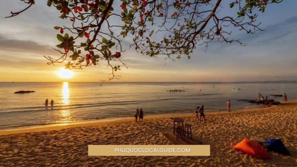 From a Wild Island to a World-Famous Destination